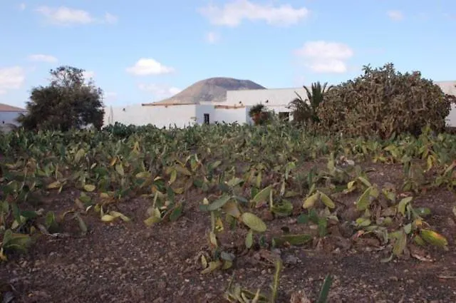 منزل ريفي Gbh Casas Portadas لا أوليفا