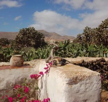 Gbh Casas Portadas * لا أوليفا