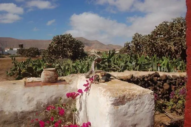 Gbh Casas Portadas * La Oliva